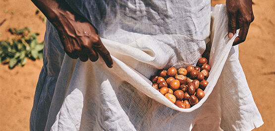What Is Shea Butter?